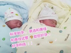 恭喜N先生喜获双胞胎男宝